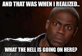 Kevin Hart Meme | AND THAT WAS WHEN I REALIZED.. WHAT THE HELL IS GOING ON HERE? | image tagged in memes,kevin hart the hell | made w/ Imgflip meme maker