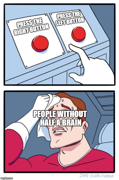 Two Buttons | PRESS THE LEFT BUTTON; PRESS THE RIGHT BUTTON; PEOPLE WITHOUT HALF A BRAIN | image tagged in memes,two buttons | made w/ Imgflip meme maker