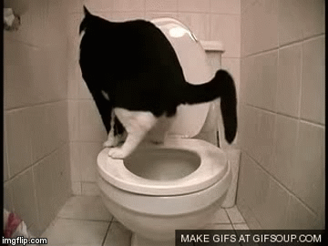 image tagged in gifs | made w/ Imgflip video-to-gif maker