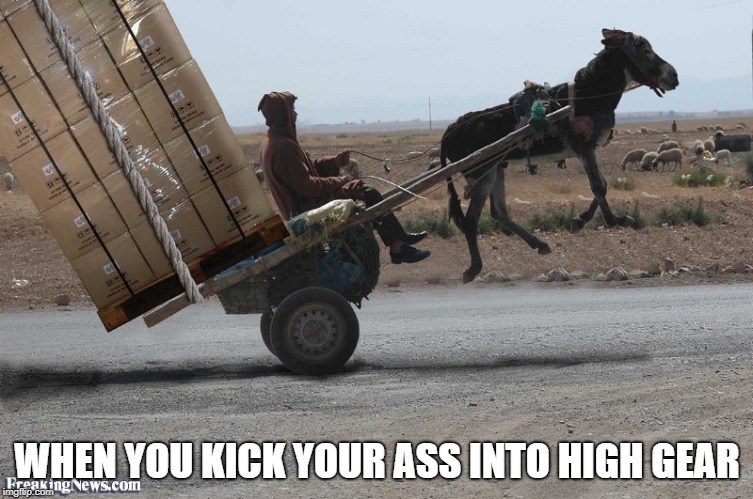 High Gear | WHEN YOU KICK YOUR ASS INTO HIGH GEAR | image tagged in funny memes,memes,donkey | made w/ Imgflip meme maker