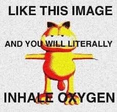 Like this image and you will inhale oxegen | image tagged in shitpost | made w/ Imgflip meme maker