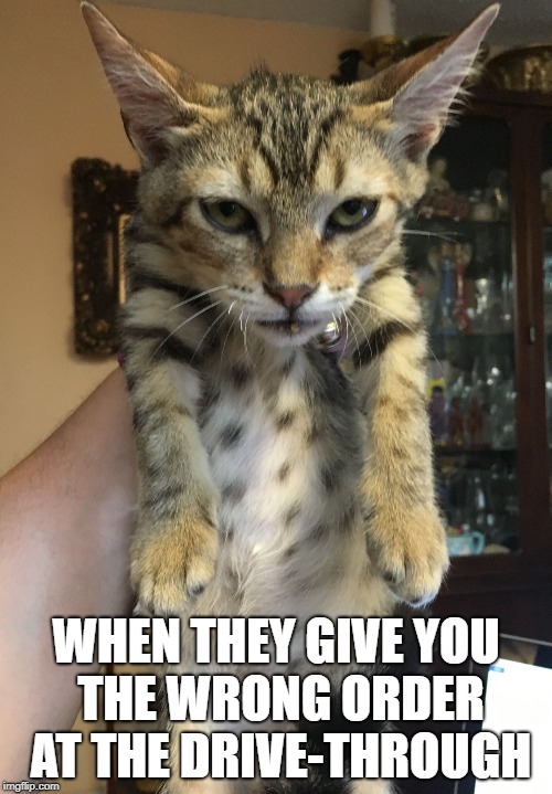 WHEN THEY GIVE YOU THE WRONG ORDER AT THE DRIVE-THROUGH | image tagged in murder kitty | made w/ Imgflip meme maker