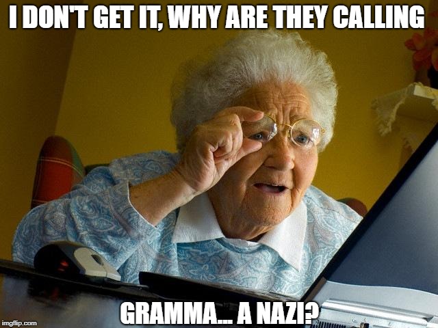 She's Not Even a Registered Voter | I DON'T GET IT, WHY ARE THEY CALLING; GRAMMA... A NAZI? | image tagged in memes,grandma finds the internet | made w/ Imgflip meme maker