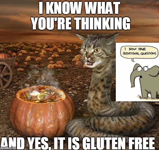 Additional Questions | I KNOW WHAT YOU'RE THINKING; AND YES, IT IS GLUTEN FREE | image tagged in cat,cats | made w/ Imgflip meme maker