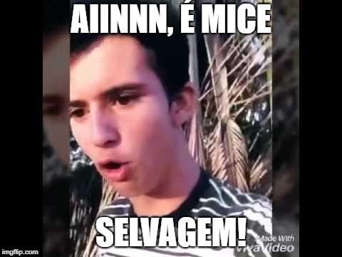 AIINNN, É MICE; SELVAGEM! | made w/ Imgflip meme maker