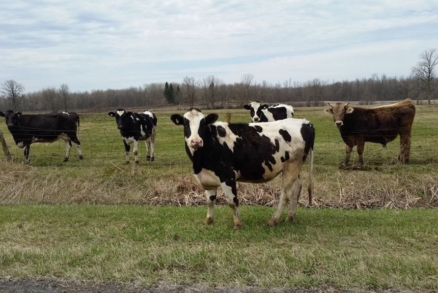 High Quality Atom Heart Motherf**ka Blank Meme Template