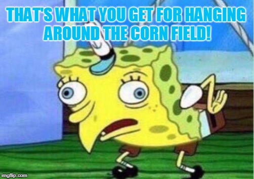 Mocking Spongebob Meme | THAT'S WHAT YOU GET FOR HANGING AROUND THE CORN FIELD! | image tagged in memes,mocking spongebob | made w/ Imgflip meme maker