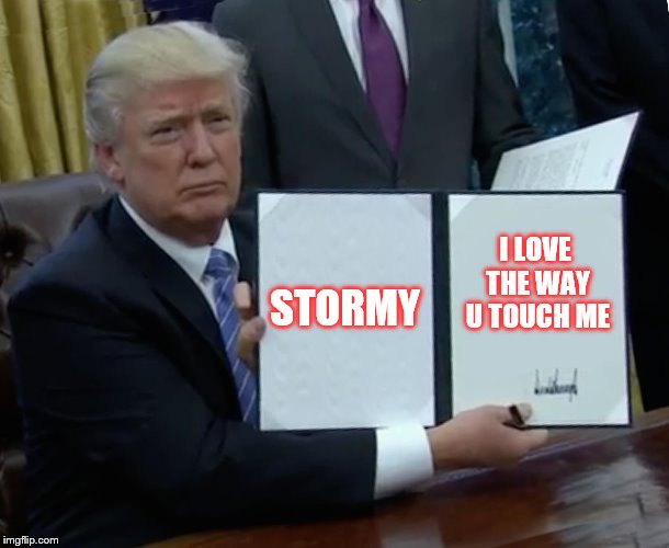 Trump Bill Signing Meme | STORMY; I LOVE THE WAY U TOUCH ME | image tagged in memes,trump bill signing | made w/ Imgflip meme maker