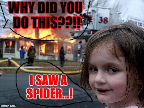 Disaster Girl | WHY DID YOU DO THIS??!! I SAW A SPIDER...! | image tagged in memes,disaster girl | made w/ Imgflip meme maker