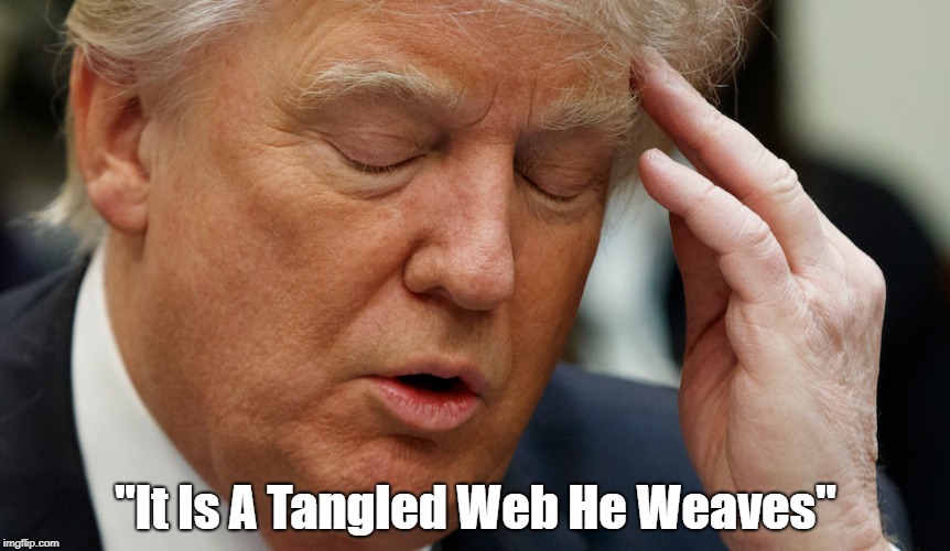 "Trump's Tangled Web" | "It Is A Tangled Web He Weaves" | image tagged in deplorable donald,despicable donald,detestable donald,dishonorable donald,mafia don,donald dunce | made w/ Imgflip meme maker