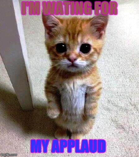 cute standing kitty | I'M WATING FOR; MY APPLAUD | image tagged in cute standing kitty | made w/ Imgflip meme maker