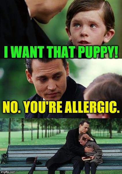 Finding Neverland Meme | I WANT THAT PUPPY! NO. YOU'RE ALLERGIC. | image tagged in memes,finding neverland | made w/ Imgflip meme maker