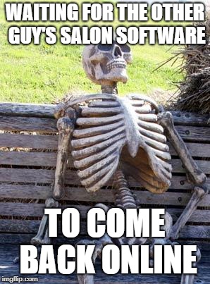 Waiting Skeleton Meme | WAITING FOR THE OTHER GUY'S SALON SOFTWARE; TO COME BACK ONLINE | image tagged in memes,waiting skeleton | made w/ Imgflip meme maker
