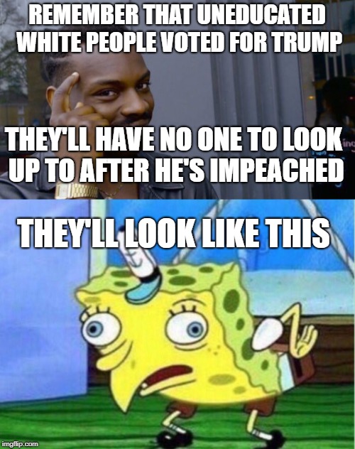 Trump Supporters | REMEMBER THAT UNEDUCATED WHITE PEOPLE VOTED FOR TRUMP THEY'LL HAVE NO ONE TO LOOK UP TO AFTER HE'S IMPEACHED THEY'LL LOOK LIKE THIS | image tagged in supporters,impeach trump | made w/ Imgflip meme maker