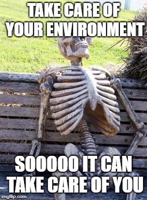 Waiting Skeleton | TAKE CARE OF YOUR ENVIRONMENT; SOOOOO IT CAN TAKE CARE OF YOU | image tagged in memes,waiting skeleton | made w/ Imgflip meme maker