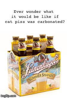 Seriously | Ever wonder what it would be like if cat piss was carbonated? | image tagged in beer,summer shandy,funny memes | made w/ Imgflip meme maker