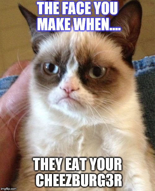 Grumpy Cat Meme | THE FACE YOU MAKE WHEN.... THEY EAT YOUR CHEEZBURG3R | image tagged in memes,grumpy cat | made w/ Imgflip meme maker