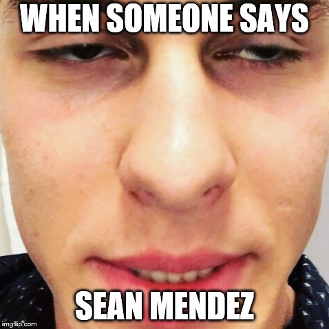 Shawn Mendes Meme | WHEN SOMEONE SAYS; SEAN MENDEZ | image tagged in shawn mendes meme | made w/ Imgflip meme maker