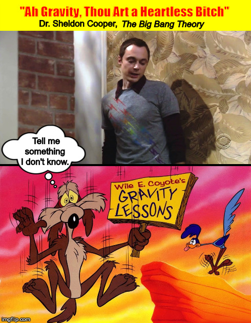 Ah Gravity, Thou Art a Heartless Bitch  (Dr. Sheldon Cooper, The Big Bang Theory) | image tagged in sheldon cooper,the big bang theory,wile e coyote,gravity,memes,gravity thou art a heartless bitch | made w/ Imgflip meme maker