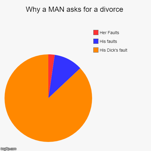 Why a MAN asks for a divorce | His Dick's fault, His faults, Her Faults | image tagged in funny,pie charts | made w/ Imgflip chart maker