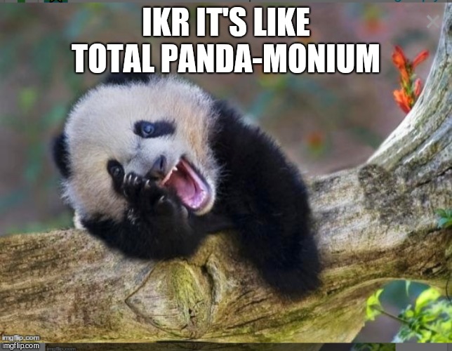 IKR IT'S LIKE TOTAL PANDA-MONIUM | made w/ Imgflip meme maker
