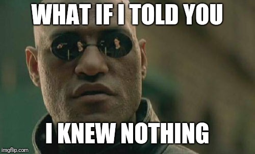 Matrix Morpheus | WHAT IF I TOLD YOU; I KNEW NOTHING | image tagged in memes,matrix morpheus | made w/ Imgflip meme maker