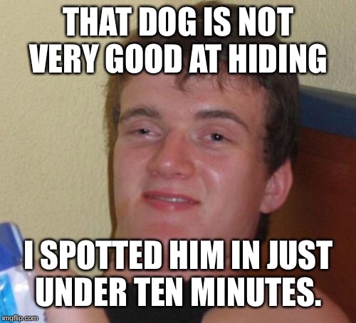 10 Guy Meme | THAT DOG IS NOT VERY GOOD AT HIDING I SPOTTED HIM IN JUST UNDER TEN MINUTES. | image tagged in memes,10 guy | made w/ Imgflip meme maker