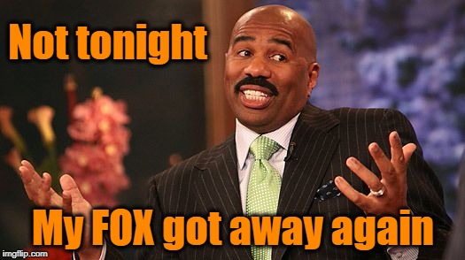 shrug | Not tonight My FOX got away again | image tagged in shrug | made w/ Imgflip meme maker