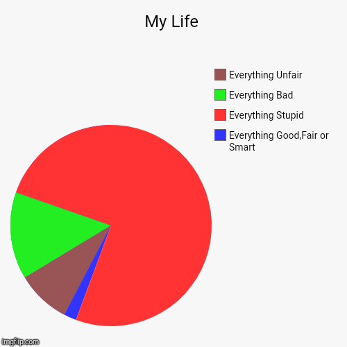 My Life | Everything Good,Fair or Smart, Everything Stupid, Everything Bad, Everything Unfair | image tagged in funny,pie charts | made w/ Imgflip chart maker