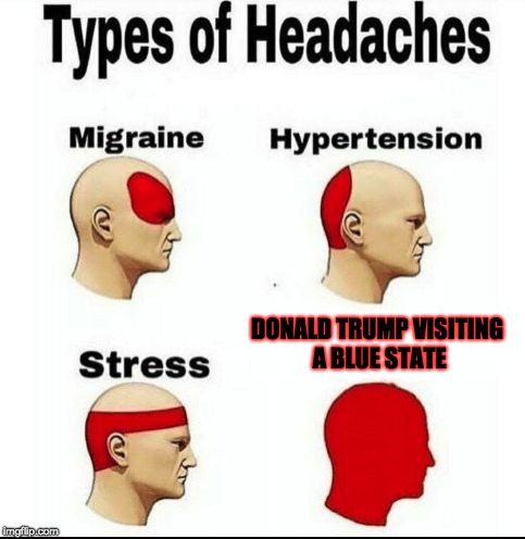 People in Blue States and Trump | DONALD TRUMP VISITING A BLUE STATE | image tagged in types of headaches meme,donald trump,memes,politics,election 2016 | made w/ Imgflip meme maker