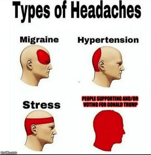 Trump Supporters and/or Voters | PEOPLE SUPPORTING AND/OR VOTING FOR DONALD TRUMP | image tagged in types of headaches meme,donald trump,memes,politics,election 2016 | made w/ Imgflip meme maker