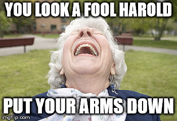 YOU LOOK A FOOL HAROLD PUT YOUR ARMS DOWN | made w/ Imgflip meme maker