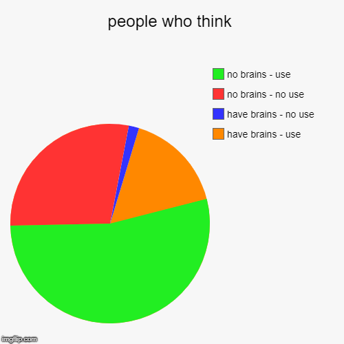 people who think | have brains - use, have brains - no use, no brains - no use, no brains - use | image tagged in funny,pie charts | made w/ Imgflip chart maker