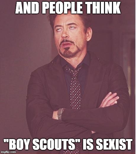Face You Make Robert Downey Jr Meme | AND PEOPLE THINK "BOY SCOUTS" IS SEXIST | image tagged in memes,face you make robert downey jr | made w/ Imgflip meme maker
