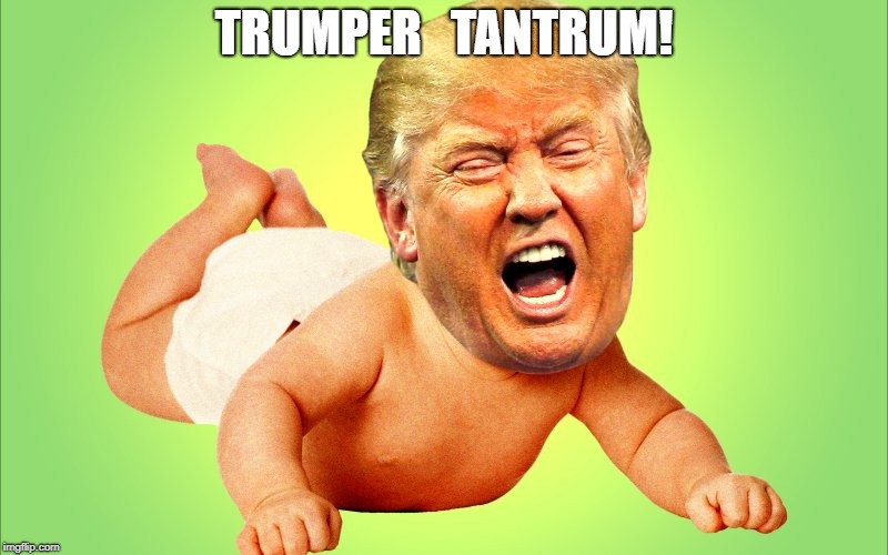 Image result for trumper tantrum