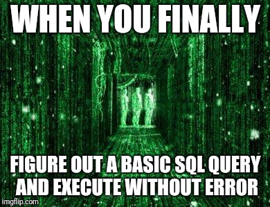 matrix | WHEN YOU FINALLY; FIGURE OUT A BASIC SQL QUERY AND EXECUTE WITHOUT ERROR | image tagged in matrix | made w/ Imgflip meme maker