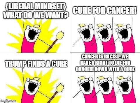 What Do We Want Meme | {LIBERAL MINDSET} WHAT DO WE WANT? CURE FOR CANCER! CANCER IS RACIST! WE HAVE A RIGHT TO DIE FOR CANCER! DOWN WITH A CURE; TRUMP FINDS A CURE | image tagged in memes,what do we want | made w/ Imgflip meme maker