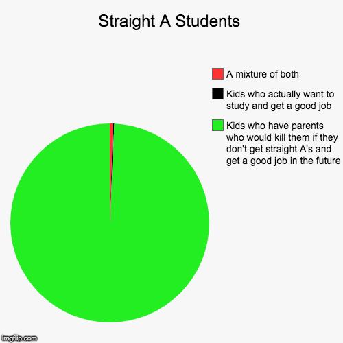 Straight A Students | Kids who have parents who would kill them if they don't get straight A's and get a good job in the future, Kids who ac | image tagged in funny,pie charts | made w/ Imgflip chart maker