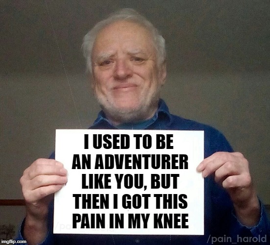 Poor Harold. | I USED TO BE AN ADVENTURER LIKE YOU, BUT THEN I GOT THIS PAIN IN MY KNEE | image tagged in harold blank | made w/ Imgflip meme maker