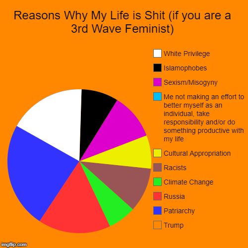 Reasons Why My Life is Shit (if you are a 3rd Wave Feminist) | Trump, Patriarchy , Russia, Climate Change, Racists  , Cultural Appropriation | image tagged in funny,pie charts | made w/ Imgflip chart maker