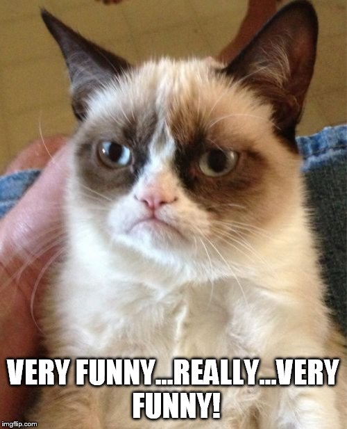 Grumpy Cat | VERY FUNNY...REALLY...VERY FUNNY! | image tagged in memes,grumpy cat | made w/ Imgflip meme maker