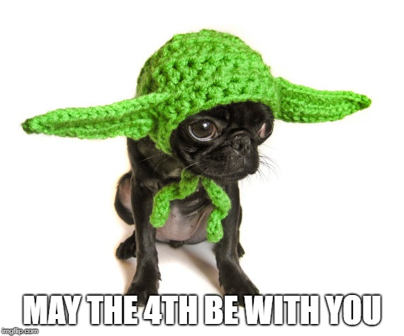 MAY THE 4TH BE WITH YOU | image tagged in star wars,yoda,may the fourth,may 4th,5/4,may the fourth be with you | made w/ Imgflip meme maker