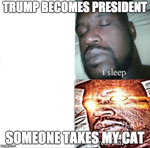 Sleeping Shaq | TRUMP BECOMES PRESIDENT; SOMEONE TAKES MY CAT | image tagged in memes,sleeping shaq | made w/ Imgflip meme maker