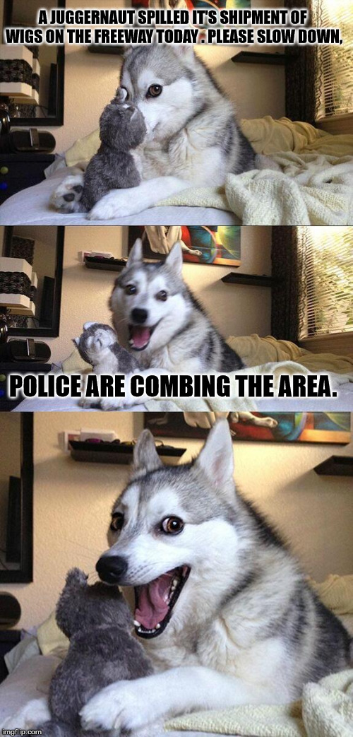 Yo' Mama is so stupid, her wig has a chinstrap. | A JUGGERNAUT SPILLED IT'S SHIPMENT OF WIGS ON THE FREEWAY TODAY . PLEASE SLOW DOWN, POLICE ARE COMBING THE AREA. | image tagged in memes,bad pun dog,wigs,police,police dogs,criminals | made w/ Imgflip meme maker