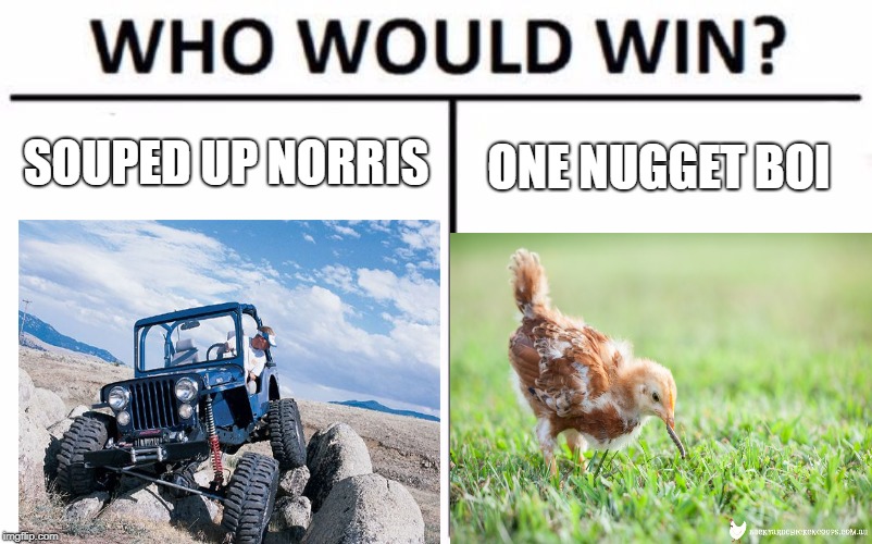 Who Would Win? Meme | SOUPED UP NORRIS ONE NUGGET BOI | image tagged in memes,who would win | made w/ Imgflip meme maker