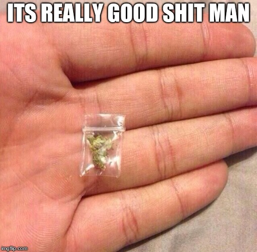 weed sack | ITS REALLY GOOD SHIT MAN | image tagged in weed sack | made w/ Imgflip meme maker