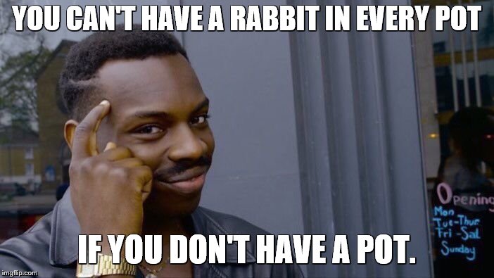 Roll Safe Think About It Meme | YOU CAN'T HAVE A RABBIT IN EVERY POT IF YOU DON'T HAVE A POT. | image tagged in memes,roll safe think about it | made w/ Imgflip meme maker