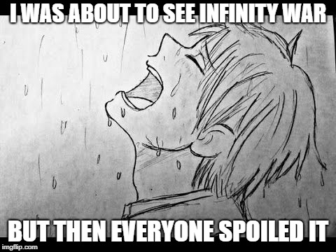 me | I WAS ABOUT TO SEE INFINITY WAR; BUT THEN EVERYONE SPOILED IT | image tagged in so true meme | made w/ Imgflip meme maker