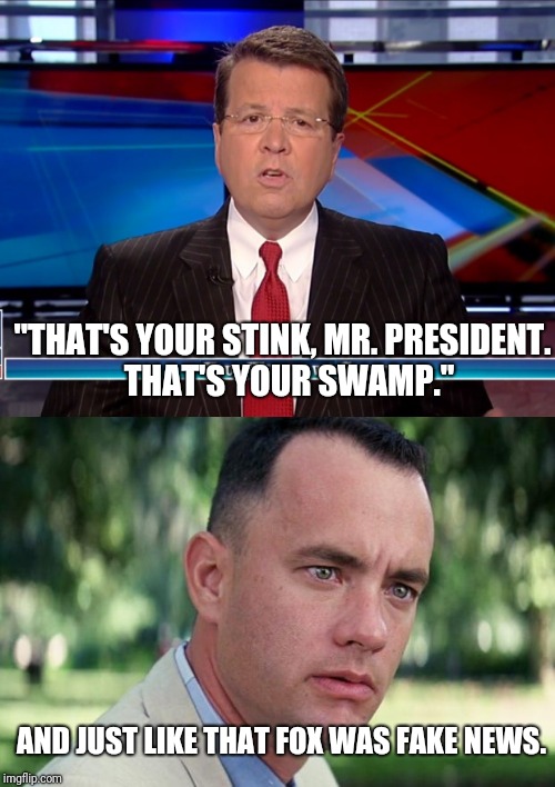 You know it's getting bad when... |  "THAT'S YOUR STINK, MR. PRESIDENT.  THAT'S YOUR SWAMP."; AND JUST LIKE THAT FOX WAS FAKE NEWS. | image tagged in fox news | made w/ Imgflip meme maker