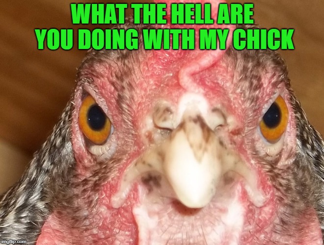 WHAT THE HELL ARE YOU DOING WITH MY CHICK | made w/ Imgflip meme maker